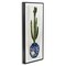 Stupell Industries Cactus in Blue Ornate Vase Framed Giclee Art